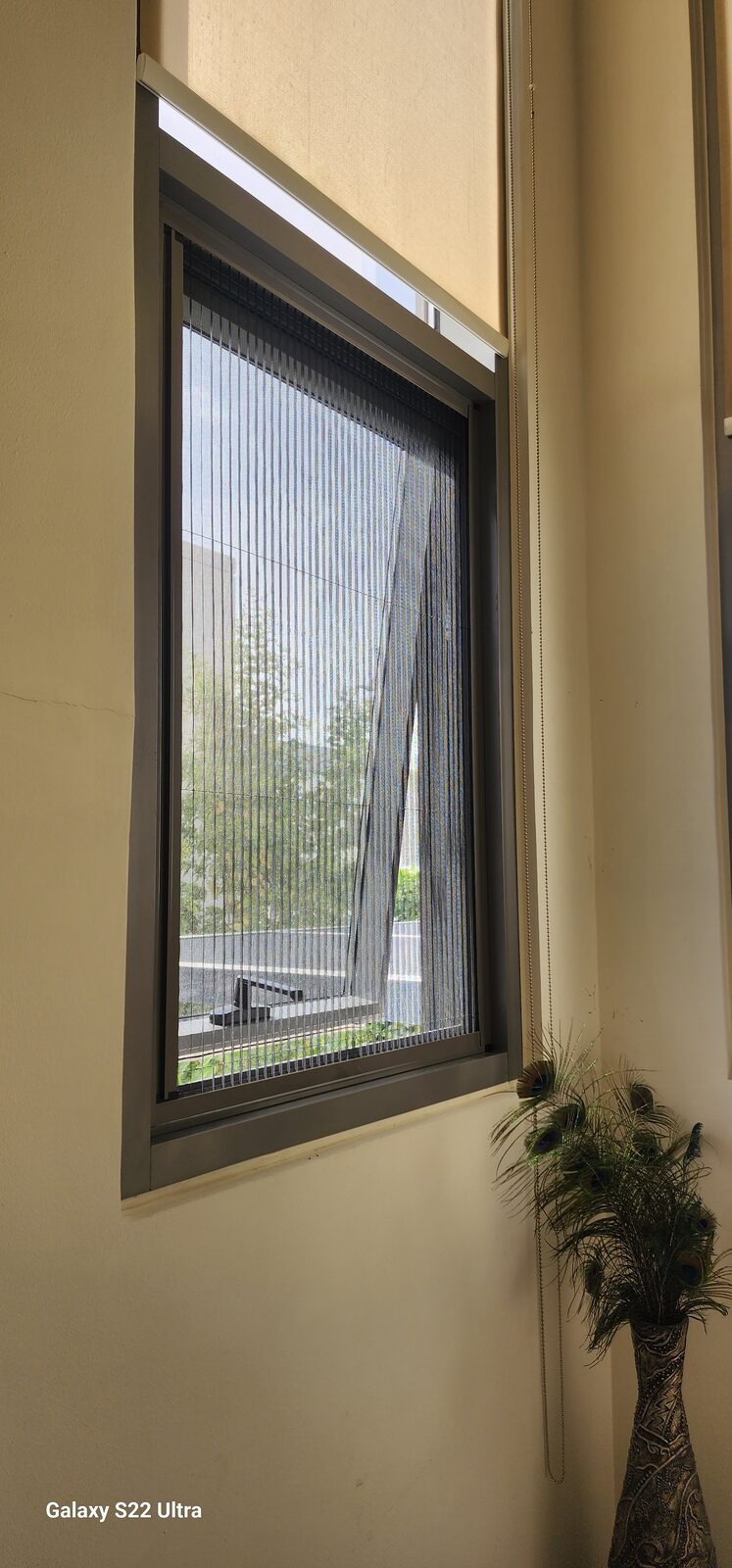 Single flynet on UAE window